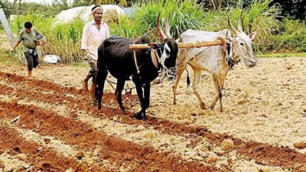 Agri loan without any collateral